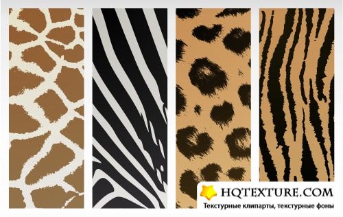 Leopard patterns