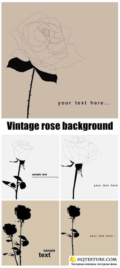 Vintage rose background