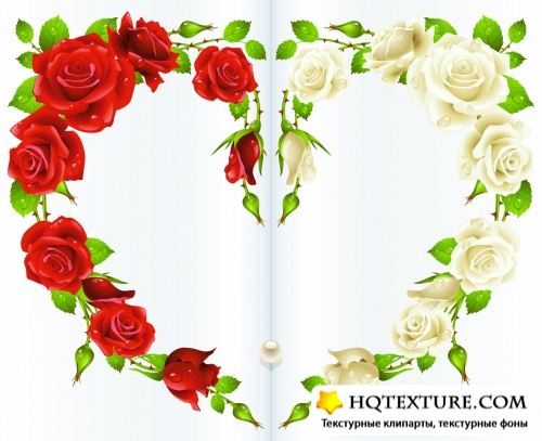 Roses Postcards Vector
