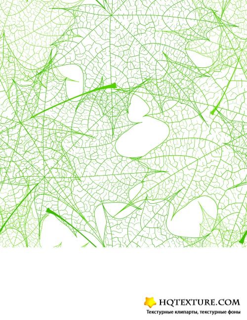 Stock Vector - Leaves Backgrounds