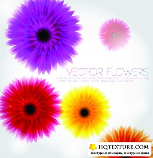 Stock Vector - Colorful Backgrounds 2