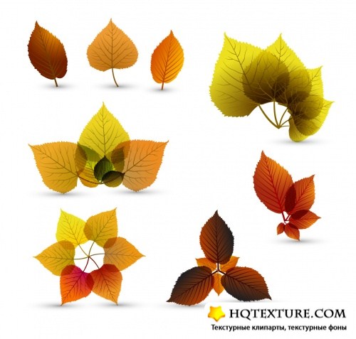 Stock Vector - Autumn Backgrounds 3
