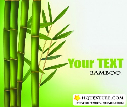 Bamboo Backgrounds Vector  