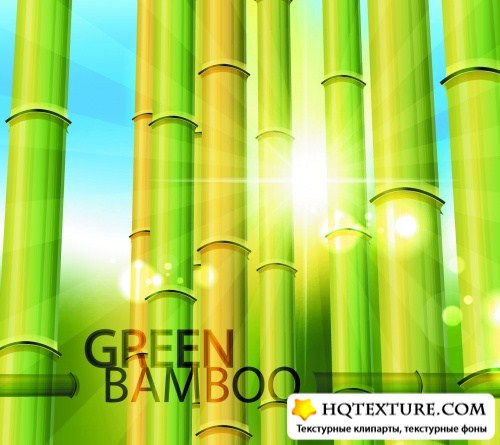 Bamboo Backgrounds Vector  