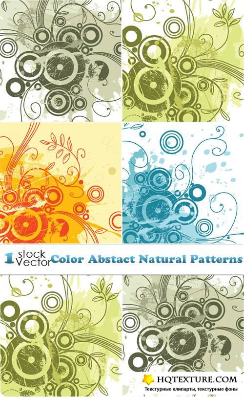 Color Abstact Natural Patterns Vector