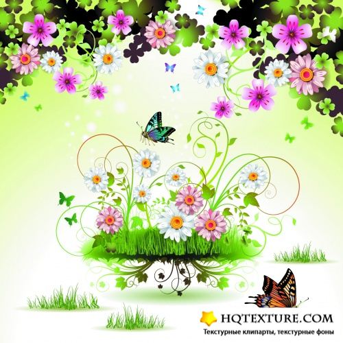 Floral Backgrounds with Butterflies Vector