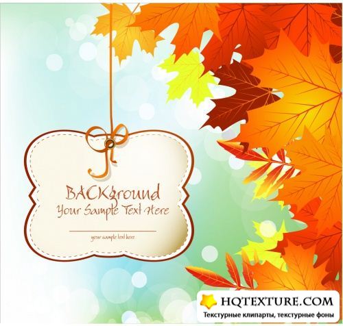 Autumn Leaves Backgrounds Vector 2
