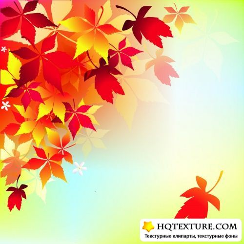 Autumn Leaves Backgrounds Vector 3