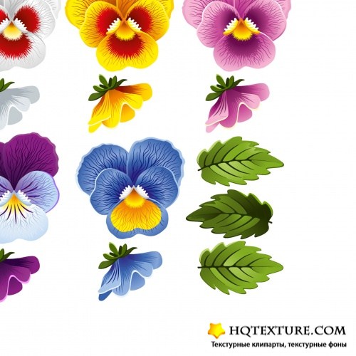 Gentle floral patterns with pansy 