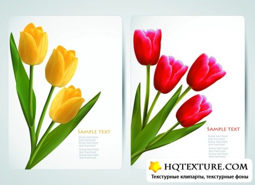 Various Flowers Banners Vector