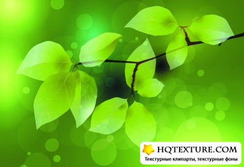 Green Leaves Backgrounds Vector 2