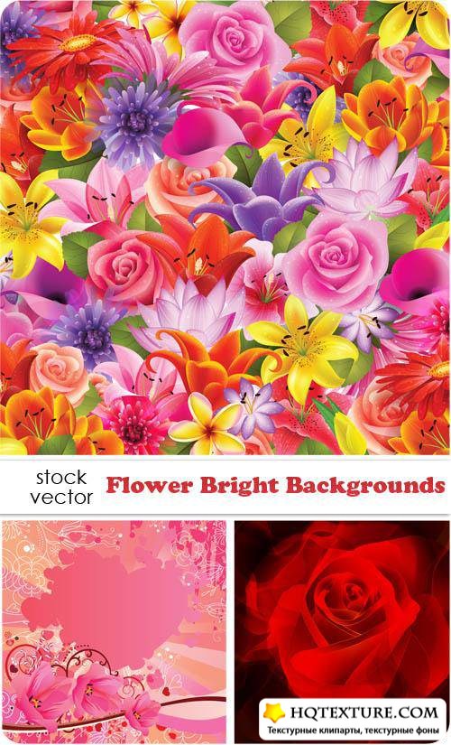   - Flower Bright Backgrounds
