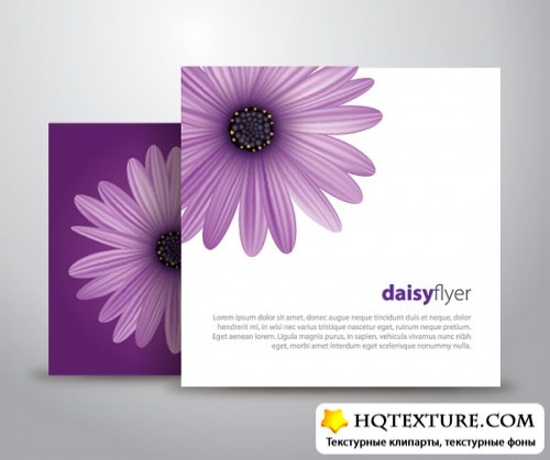 Colorful daisy flower