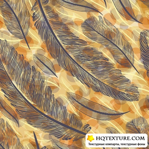    | Background with feathers