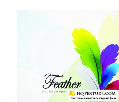     | Color feathers abstract background vector