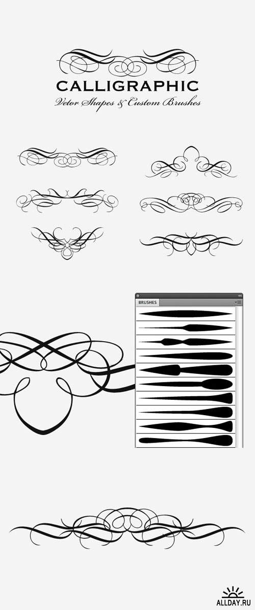 WeGraphics - Vector Calligraphic Multi-Pack