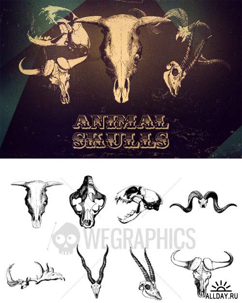 Animal Skull vectors