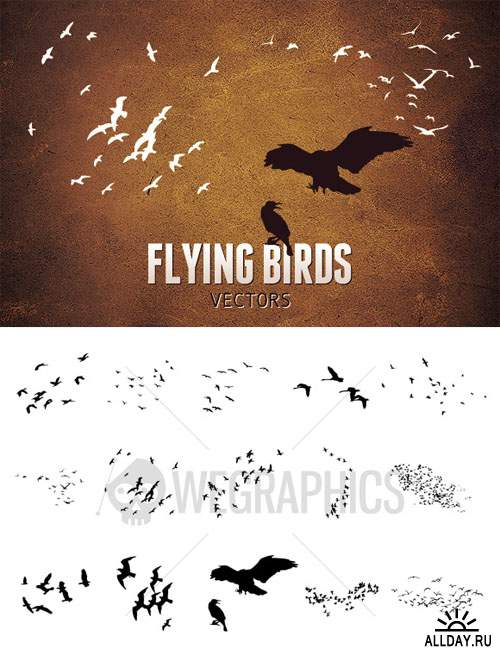 WeGraphics - Flying Birds Vector Set