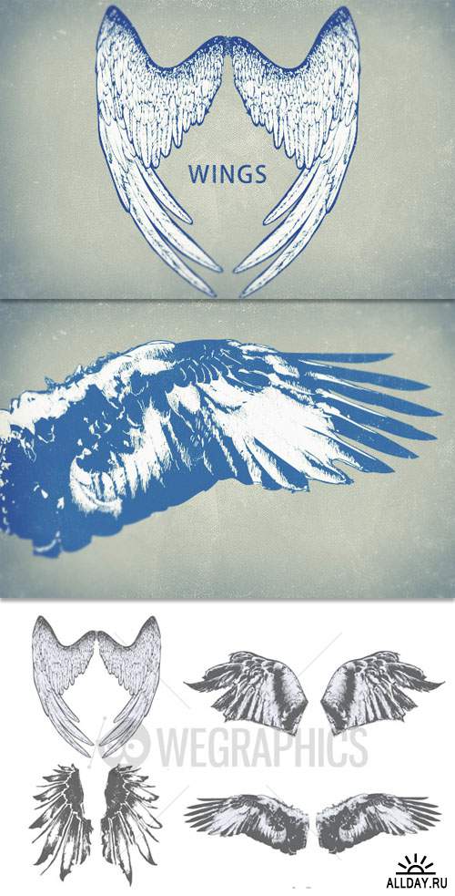 WeGraphics - Highly detailed wings