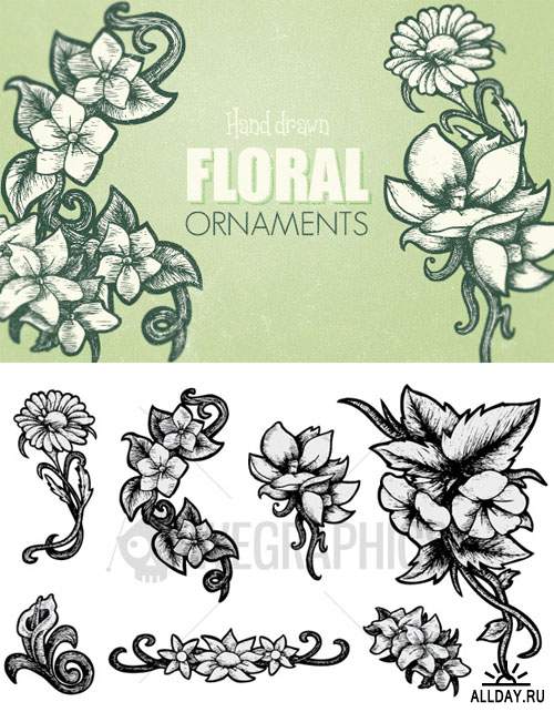 WeGraphics - Hand Drawn Floral Ornaments