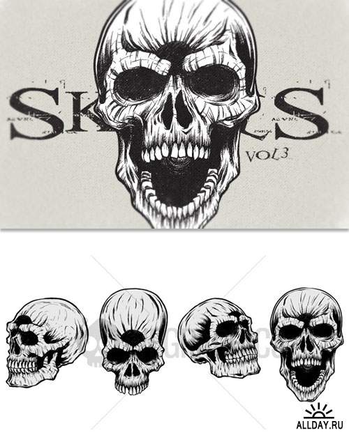 WeGraphics - Highly detailed skulls vol3
