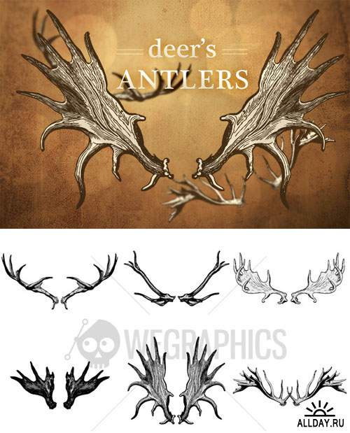 WeGraphics - Deers antler illustrations