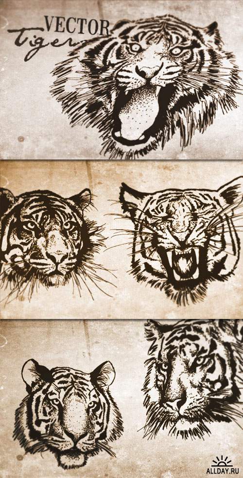 WeGraphics - Vector Tigers