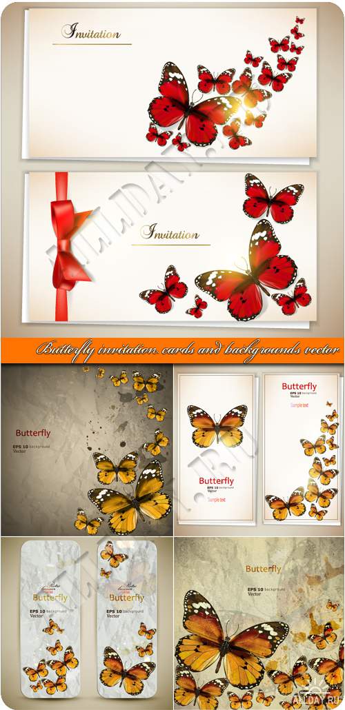     | Butterfly invitation cards and backgrounds vector