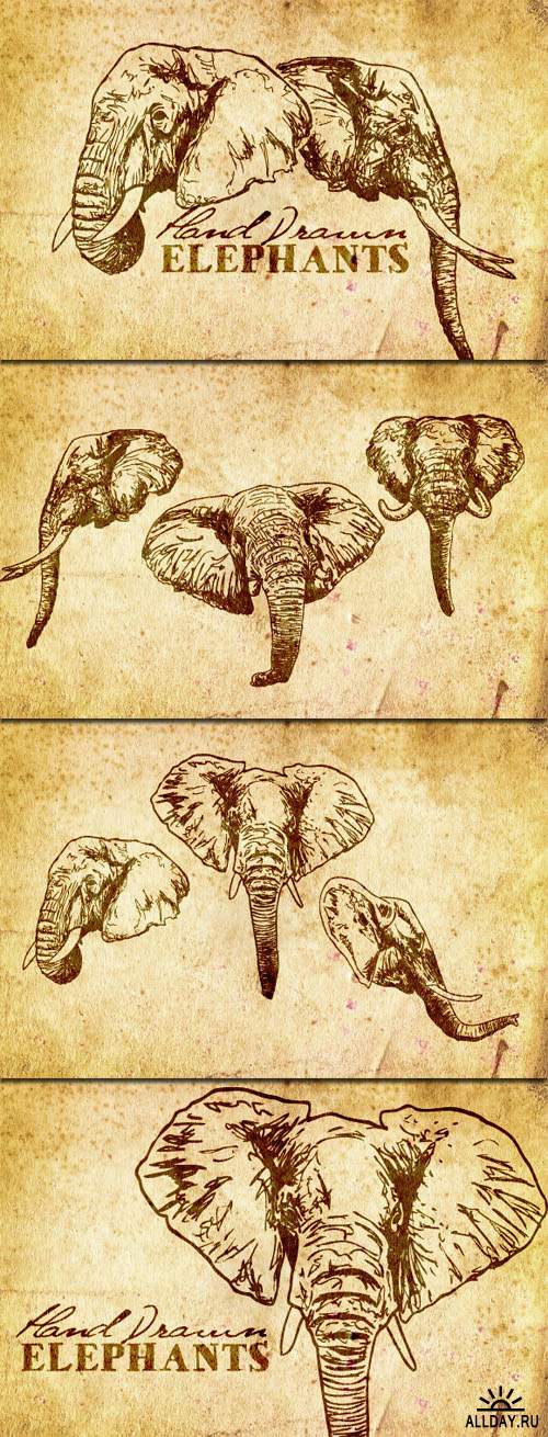 WeGraphics - Hand Drawn Elephant Vectors