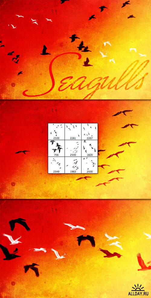 WeGraphics - Flock of Seagulls
