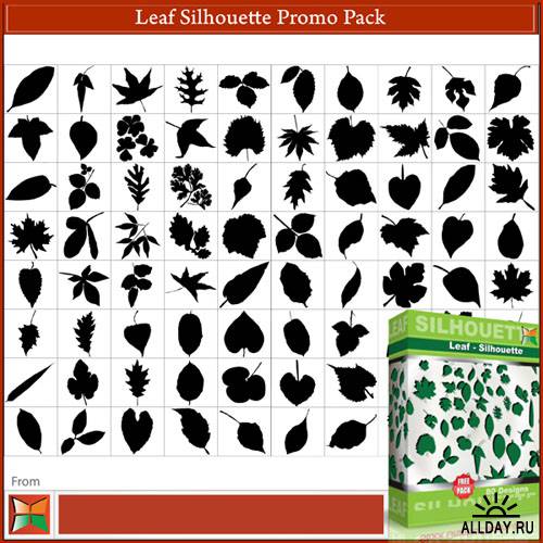 80 Leaf Silhouettes Vector & Brushes Pack