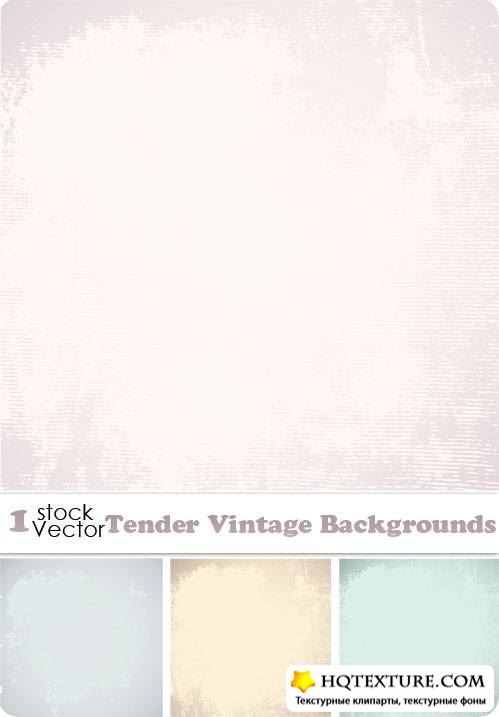 Tender Vintage Backgrounds Vector