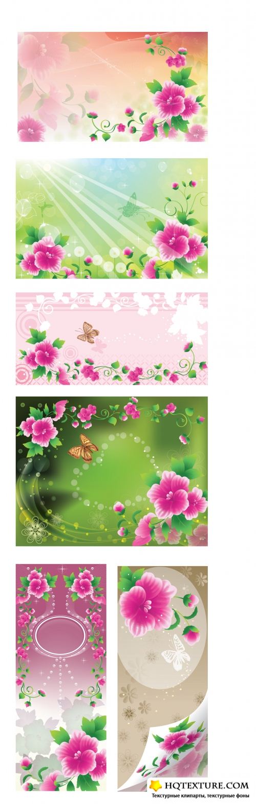   - Floral Backgrounds