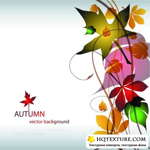 Charming Autumn Leaves