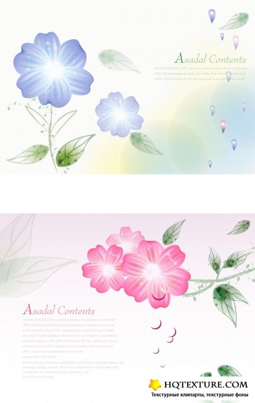 Flower backgrounds 6