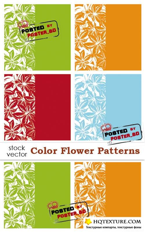   - Color Flower Patterns