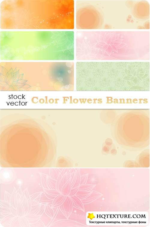   - Color Flowers Banners