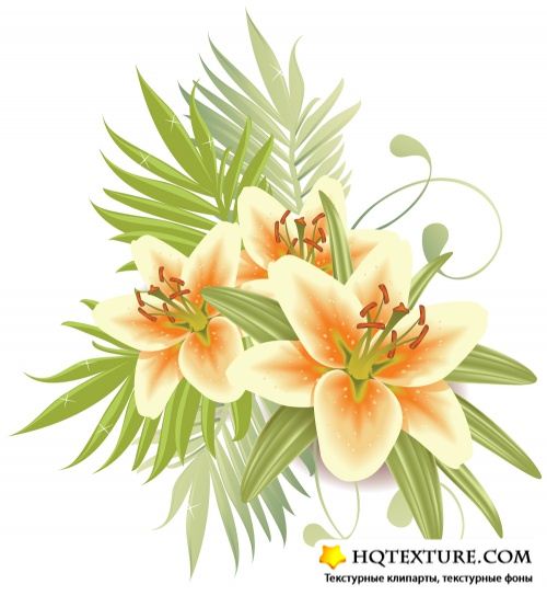 Backgrounds with delicate lilies