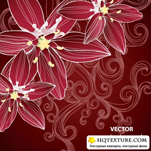 Stock Vector - Floral Decorative Postcards