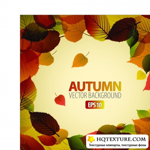     | Autumn vector background with white card and sun