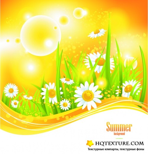 Summer Backgrounds & Banners Vector