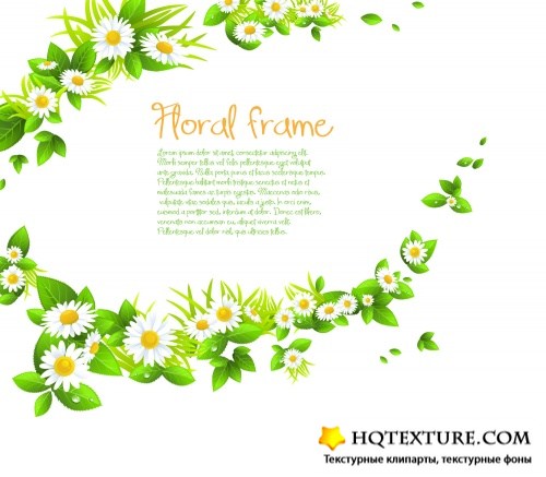 Summer frames with chamomile