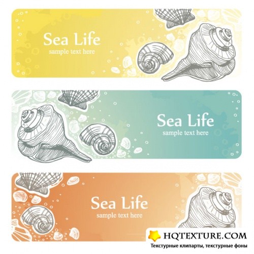 Banner with seashells 