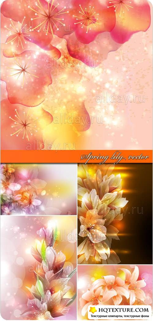   | Spring lily vector