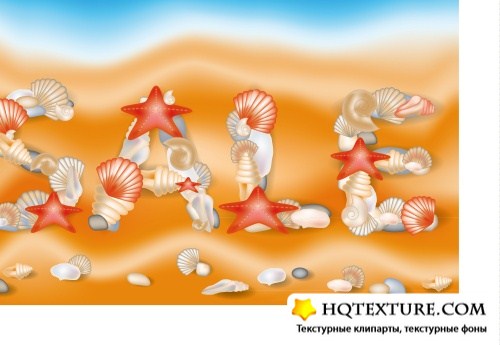 Seashells on sand background