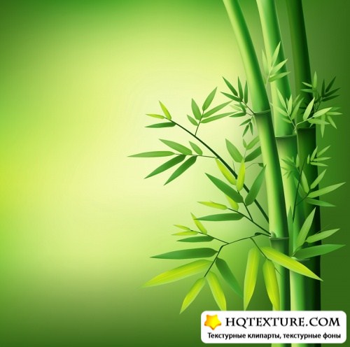    | Background with a bamboo