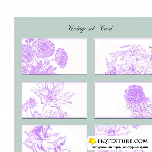     | Vintage set flower card vector 