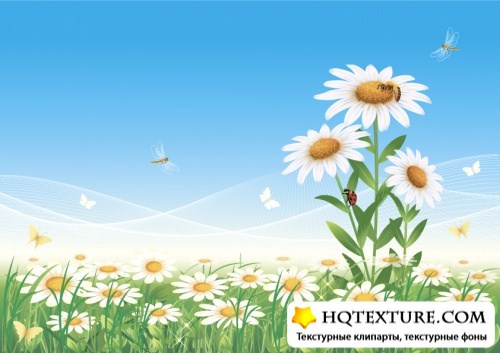 Background with floral meadow