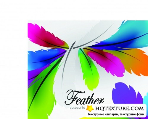     | Color feathers abstract background vector