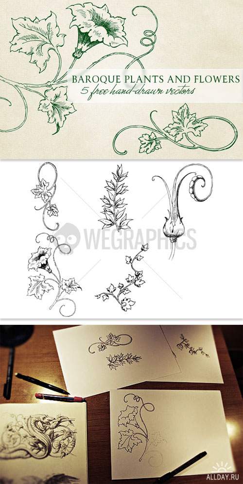 WeGraphics - Baroque plants and flowers